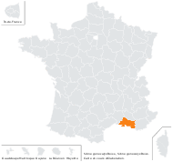 Silene gonocalyx Boiss. - carte de répartition