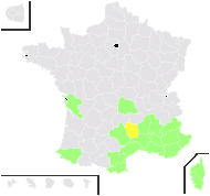 Corone nocturna (L.) Fourr. - carte de répartition