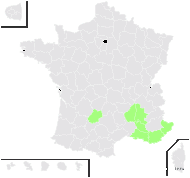 Silene brachypoda var. minor Rouy & Foucaud - carte de répartition