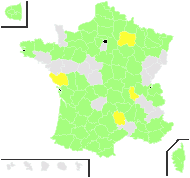 Brassica hirta Moench - carte de répartition