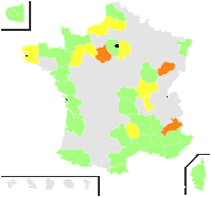 Sisymbrium orientale L. - carte de répartition