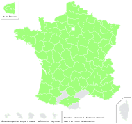 Sonchus arvensis L. - carte de répartition