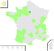 Spergula arvensis var. nana E.F.Linton - carte de répartition