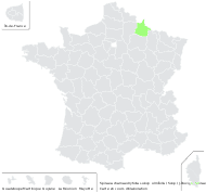 Spiraea chamaedryfolia subsp. ulmifolia (Scop.) J.Duvign. - carte de répartition