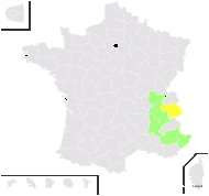 Taraxacum alpinum Hegetschw. - carte de répartition