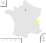 Taraxacum alsaticum Soest - carte de répartition