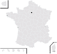 Taraxacum bracteatum Dahlst. - carte de répartition