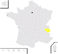 Taraxacum venustum Dahlst. - carte de répartition