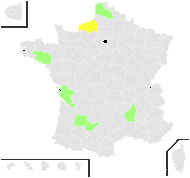 Taraxacum sarniense A.J.Richards - carte de répartition