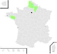 Taraxacum gelricum Soest - carte de répartition