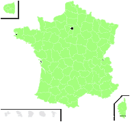 Alliaria alboi Sennen - carte de répartition