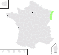 Taraxacum subexpallidum Dahlst. - carte de répartition