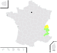 Taraxacum mattmarkense Soest - carte de répartition