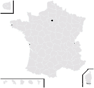 Taraxacum polyodon Dahlst. - carte de répartition