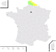 Taraxacum clemens Matysiak - carte de répartition