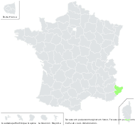 Taraxacum purpureomarginatum Soest - carte de répartition