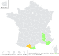 Alyssum cuneifolium Ten. subsp. cuneifolium - carte de répartition