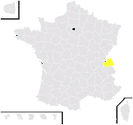 Taraxacum vetteri Soest - carte de répartition