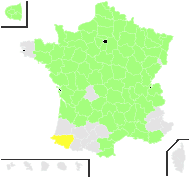 Thalictrum flavum L. - carte de répartition