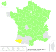 Thalictrum flavum L. - carte de répartition