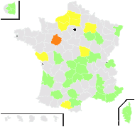 Selinum coriandrum E.H.L.Krause - carte de répartition