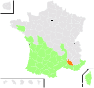 Crepis baetica Mill. - carte de répartition