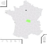 Tragopogon ×haussknechtii P.Fourn. - carte de répartition