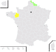 Tragopogon ×mirabilis Rouy - carte de répartition