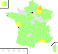 Trifolium incarnatum L. - carte de répartition