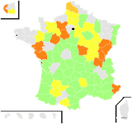 Vaccaria hispanica (Mill.) Rauschert - carte de répartition