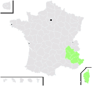 Valeriana rotundifolia Vill. - carte de répartition