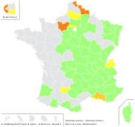 Veronica pinnatifida Lam. - carte de répartition