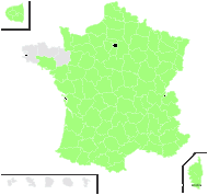 Vincetoxicum ochroleucum Jord. & Fourr. - carte de répartition