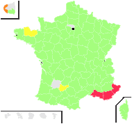 Viola pulchella Lam. - carte de répartition