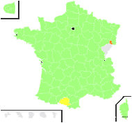 Festuca pseudomyuros Bercht. & Seidl - carte de répartition