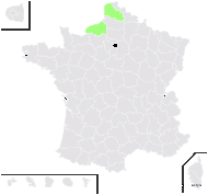 x Orchigymnadenia cookei Hesl.-Harr. - carte de répartition