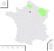 x Schedolium holmbergii (Dörfl.) Holub - carte de répartition