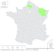 x Schedolium holmbergii (Dörfl.) Holub - carte de répartition