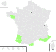 Abryanthemum acinaciforme (L.) Rothm. - carte de répartition