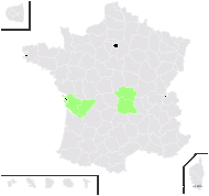 Orchis ×meilsheimeri Rouy - carte de répartition