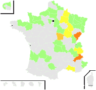 Crucifera armoracia (L.) E.H.L.Krause - carte de répartition