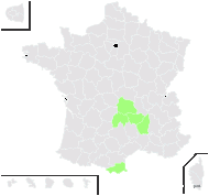 Biscutella arvernensis Jord. - carte de répartition