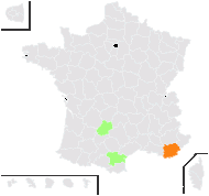 Biscutella mauritanica Jord. - carte de répartition