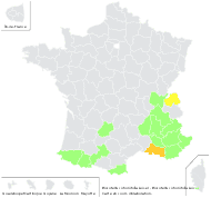 Biscutella hispida DC. - carte de répartition