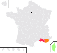 Biscutella didyma L. - carte de répartition