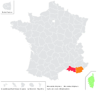 Biscutella didyma L. - carte de répartition