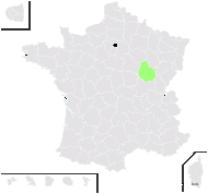 Biscutella divionensis Jord. - carte de répartition