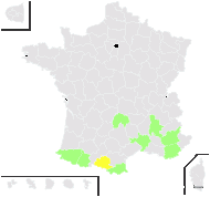 Biscutella lucida sensu auct. Pyr. - carte de répartition