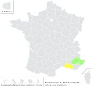 Biscutella ambigua DC. - carte de répartition