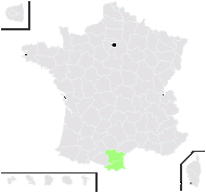 Biscutella laevigata subsp. lima proles pinnatifida (Jord.) Rouy & Foucaud - carte de répartition